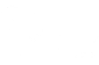 Speedy express